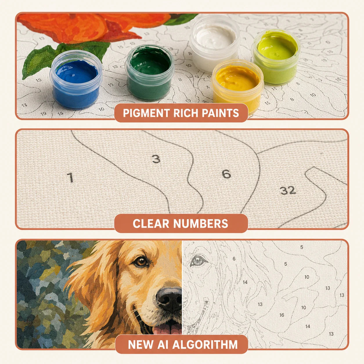 Paint by numbers features — pigment rich paints, clear printed numbers, AI-generated canvas design