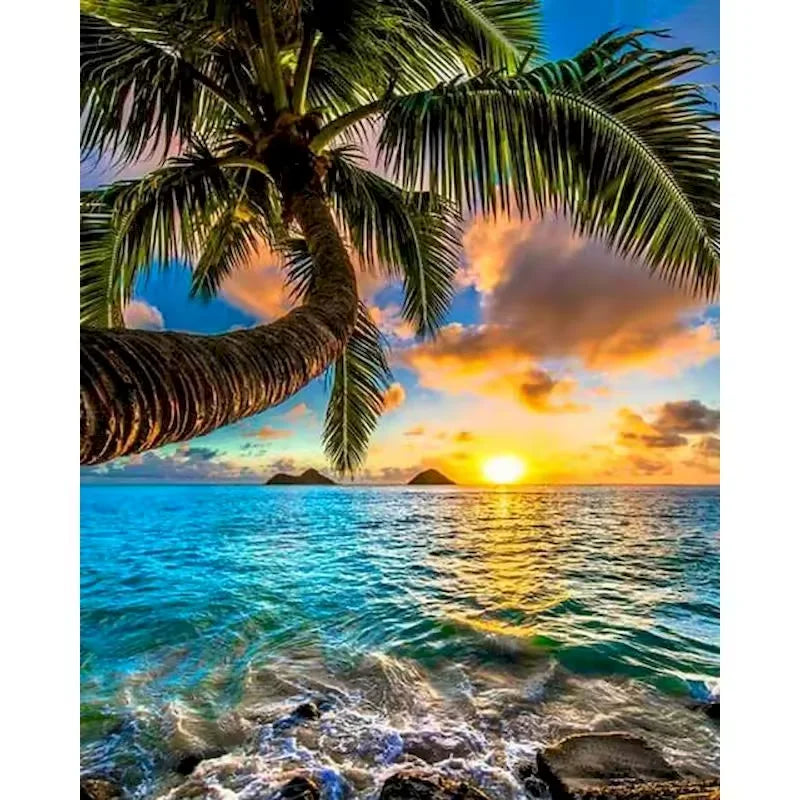 Paint by numbers kit of a tropical palm tree leaning over a turquoise ocean at a vivid sunset, 30x40cm